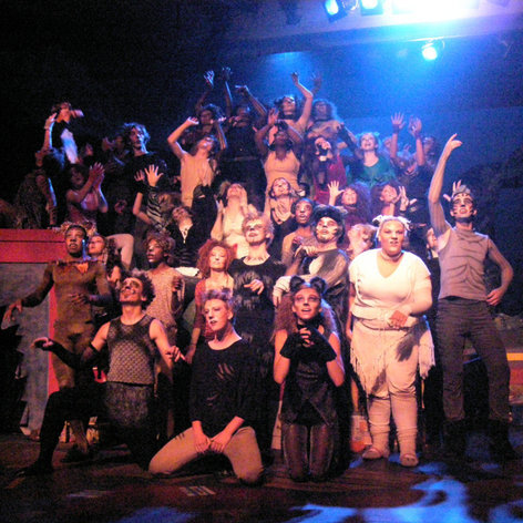 Cats2007